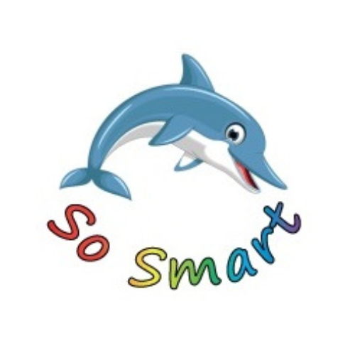 SoSmart LTD Logo