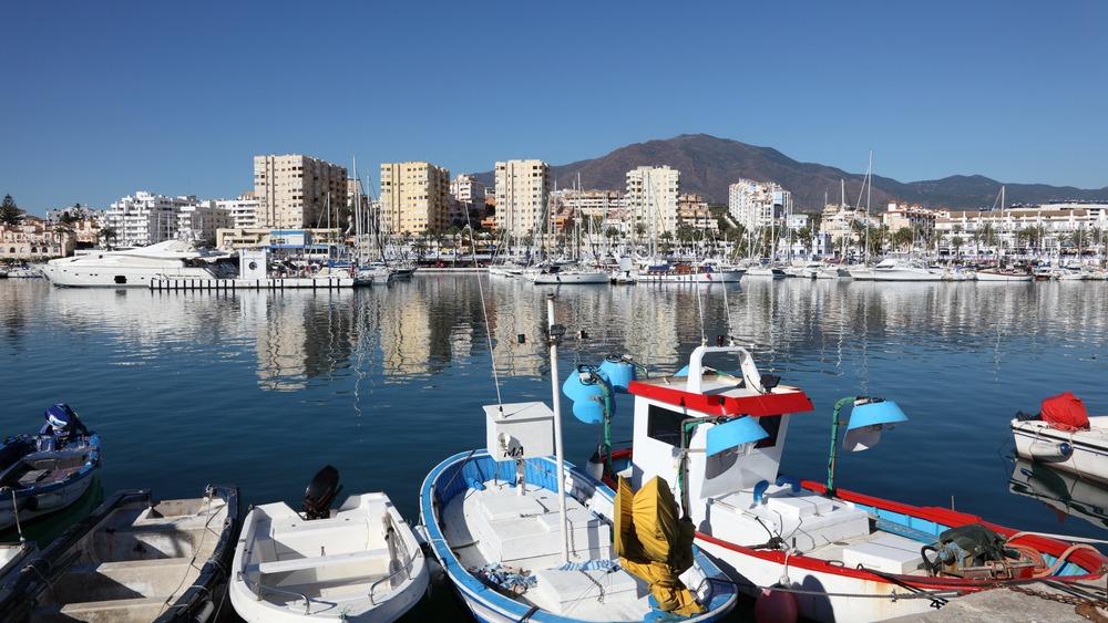 Spain: Established and Profitable Language Academy for sale in prime location in Estepona, Costa del Sol