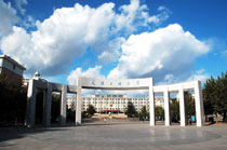 DaLian Polytechnic University Logo